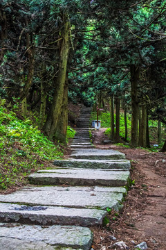 山间小路