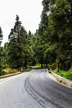 盘山路