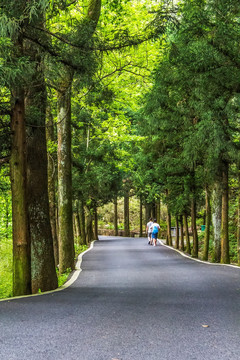 盘山公路