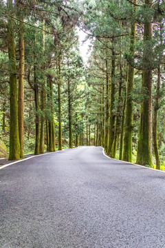 盘山公路