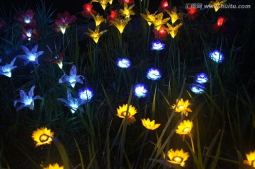 梦幻灯光 群花灯