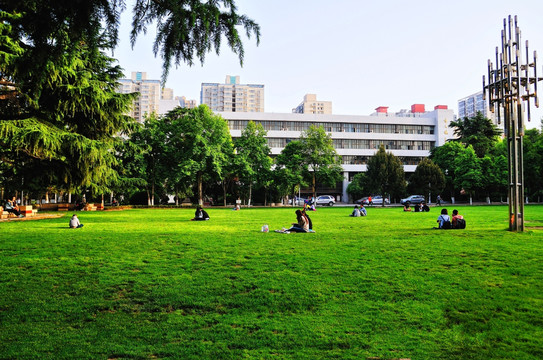 大学图书馆草坪