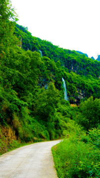 青山 公路 山泉