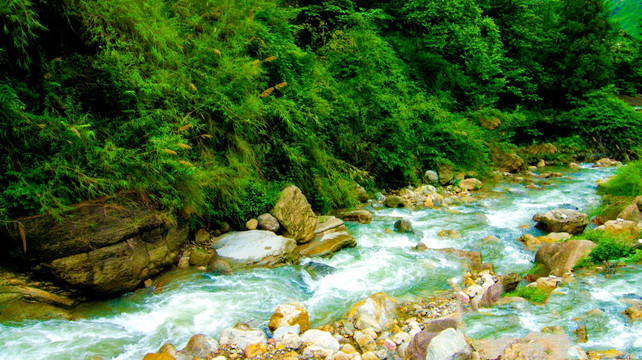 小河流水  泉水
