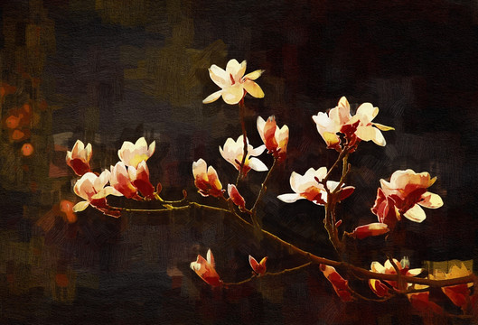 玉兰花油画