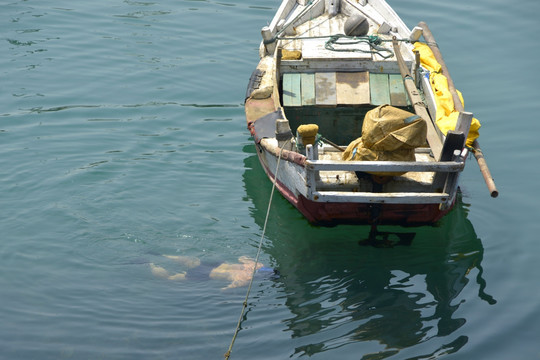 小渔船边潜水捕鱼的渔民