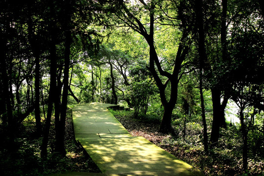 台州温岭牧屿觉慧寺