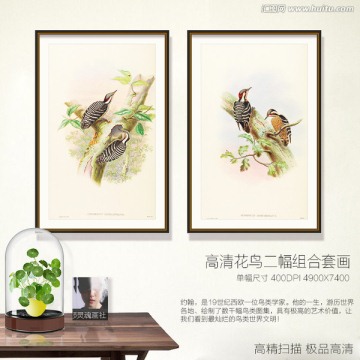 鸟类现代组合装饰画