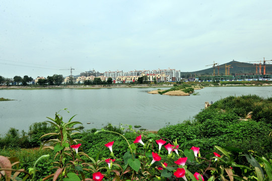 沿河风景  湖畔风光