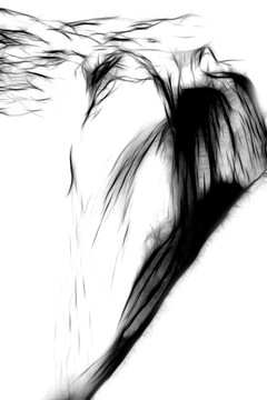 抽象画