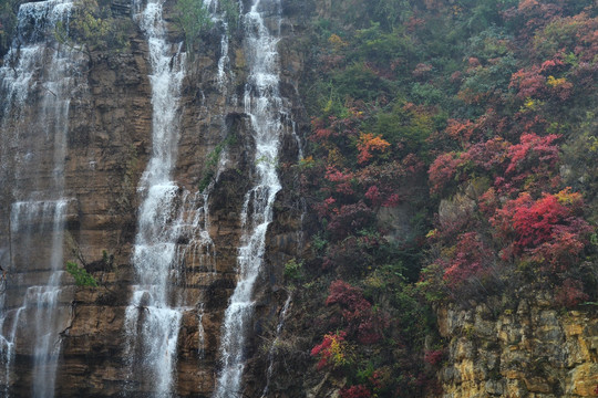 高山流水