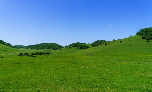 关山 牧场