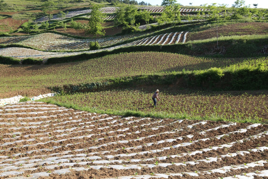 田园风光