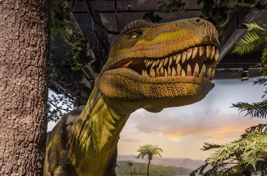 肉食性恐龙 恐龙标本 恐龙牙齿
