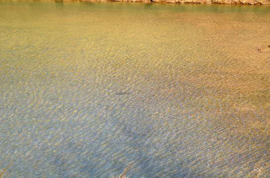 水纹