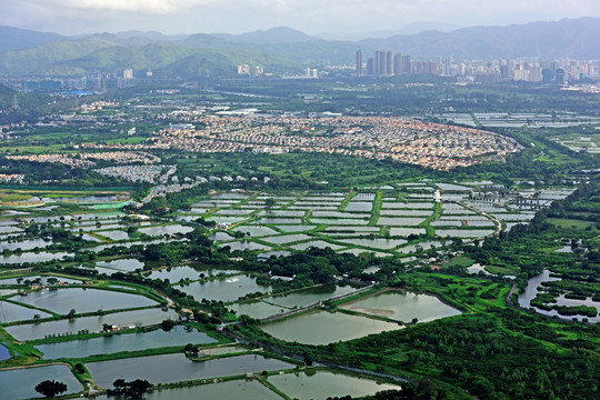 香港 米埔自然保护区