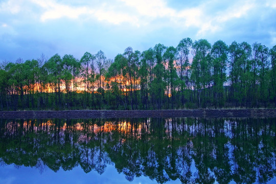 夕阳下的湖泊树林