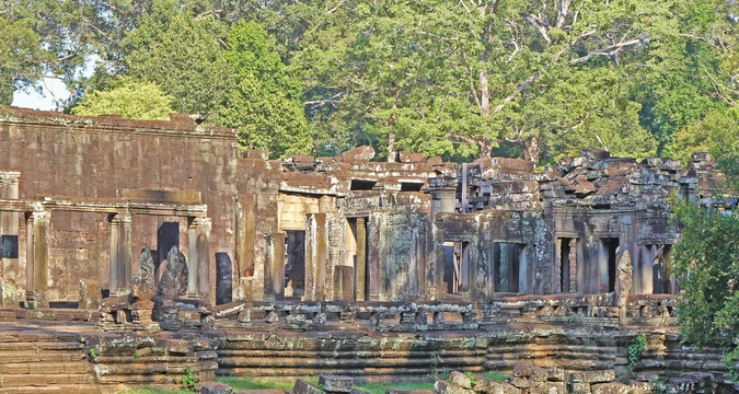 原始森林柬埔寨