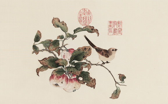 黄筌 苹婆山鸟图