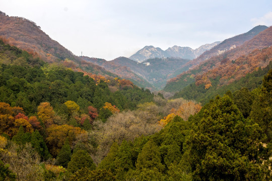 泰山秋韵