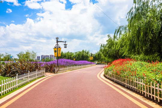 花海步道凉亭湿地