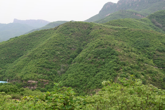 大山