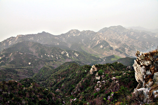 青山