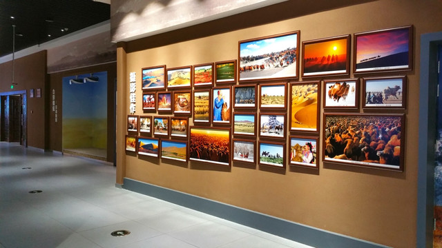 骆驼展览馆