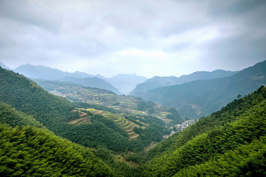 遂昌南尖岩梯田竹海全景