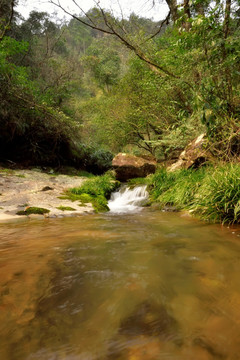 遂昌神龙谷溪水山涧