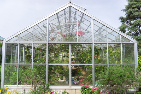 植物园 玻璃温室大棚