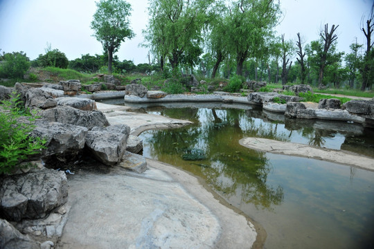 水池  公园池塘