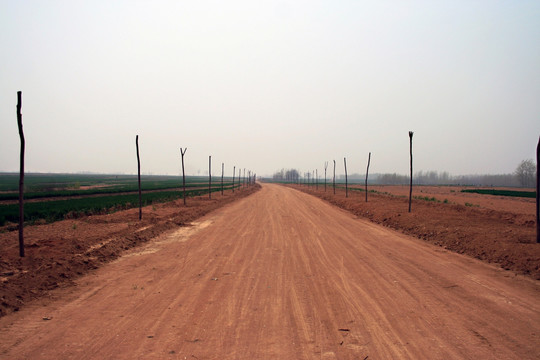 田间道路