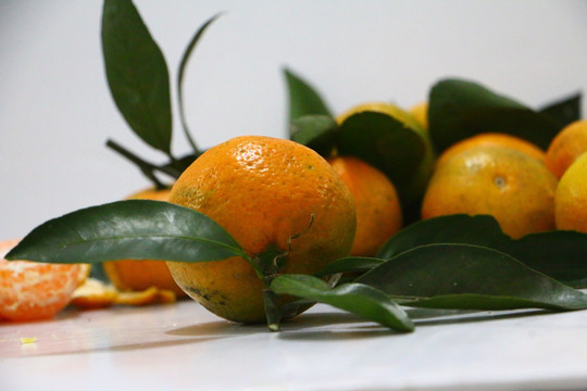 新鲜橘子摄影