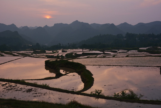 夕阳下的梯田