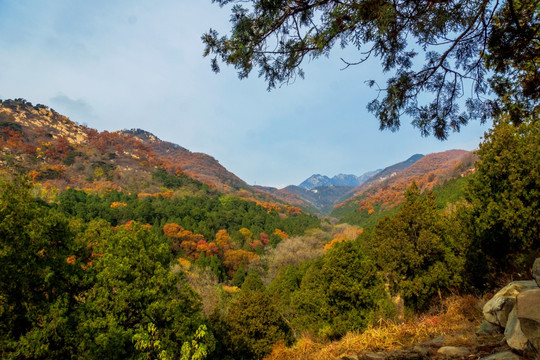 泰山山脉秋季色彩