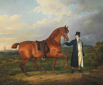 年轻人和他的马