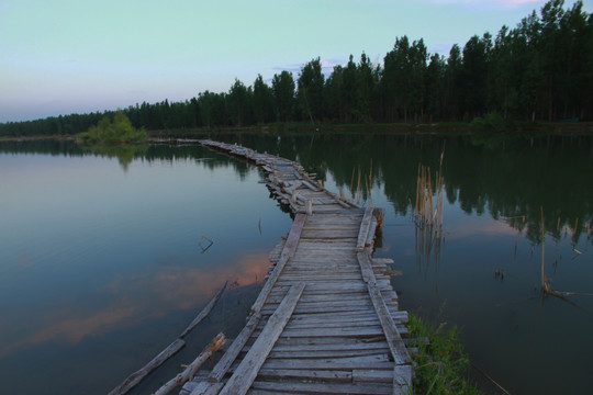 池塘中的木桥