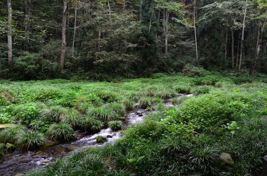 山谷
