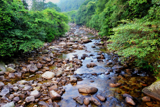 广西贺州姑婆山溪流