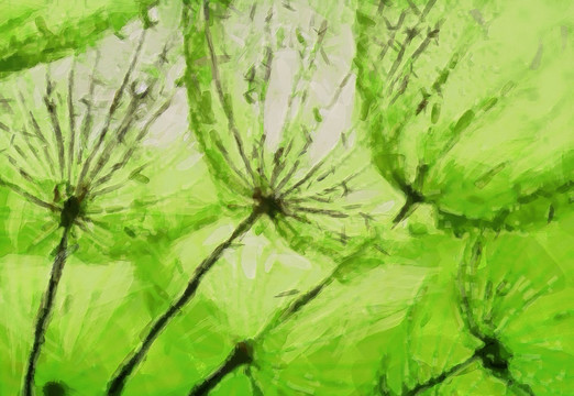 装饰画