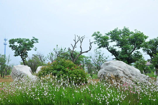 石头  园林景观