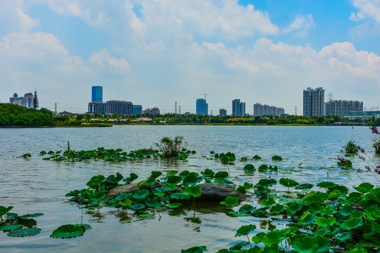 海珠湖