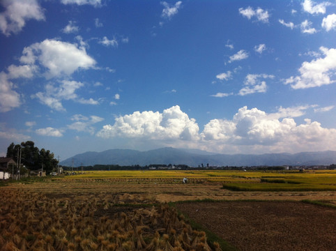 大理田园风光
