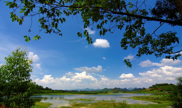 湖泊 湿地