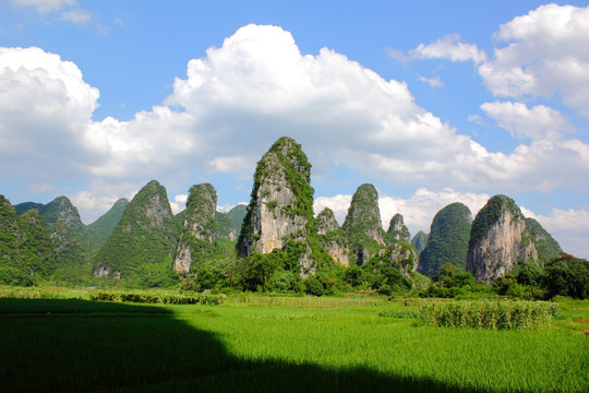 奇峰镇风光