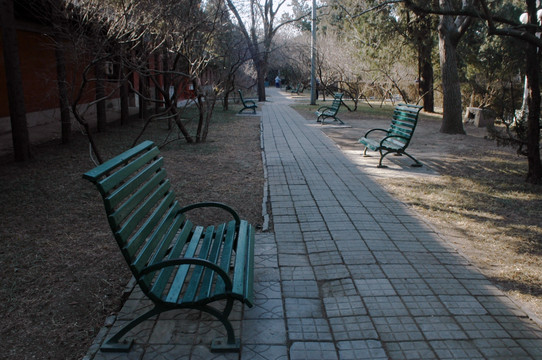 中山公园长凳