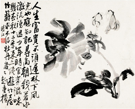 牡丹 国画