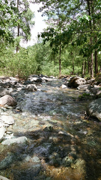 小溪河流