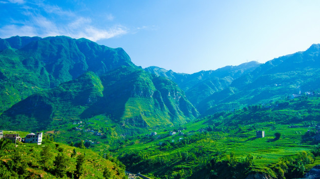 大山 青山